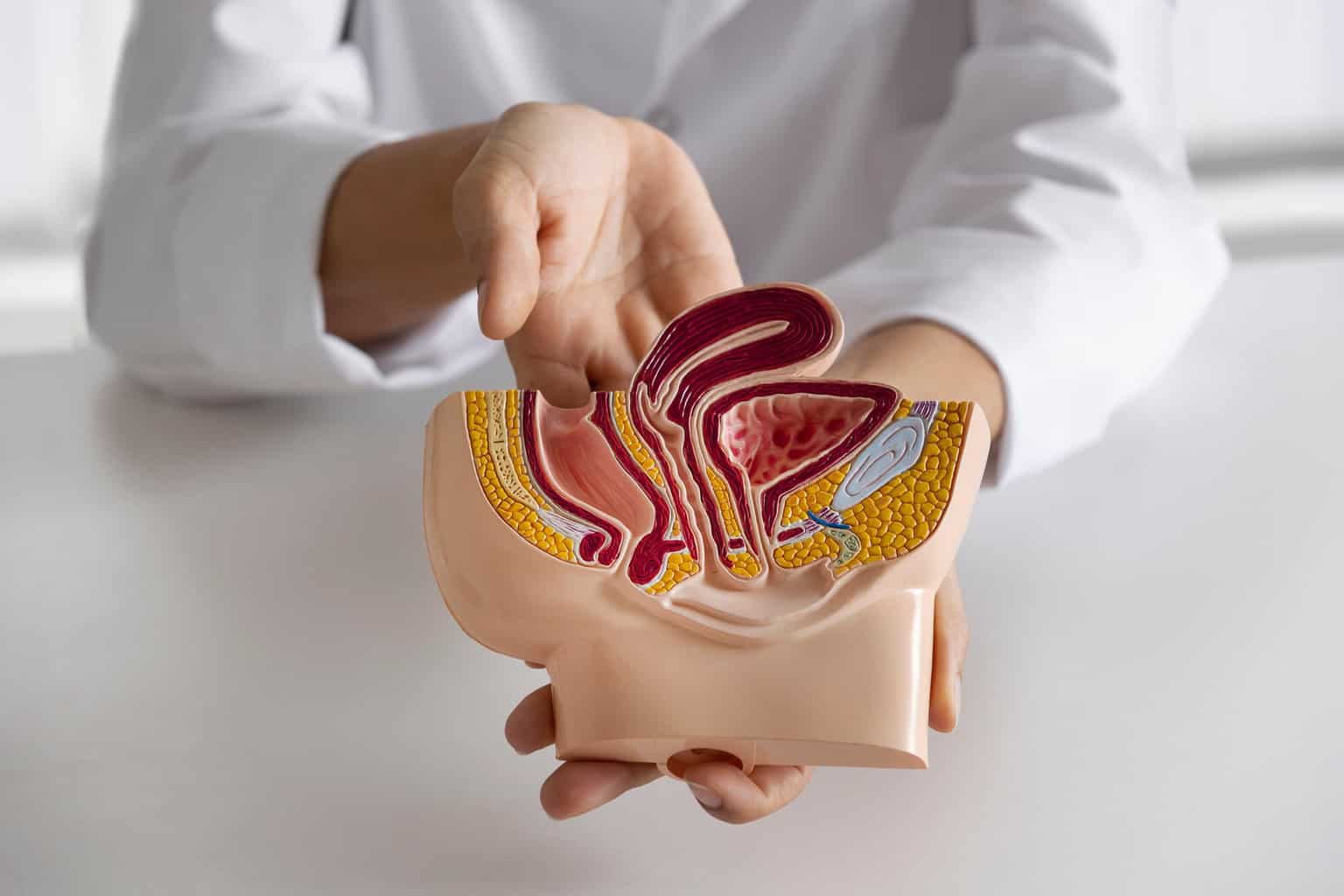 Center for surgical treatment of diseases of the colon and rectum