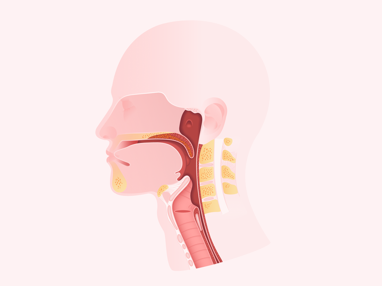 oral cancer oral cancer
