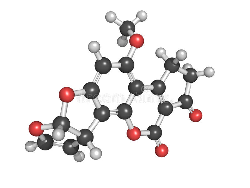 Metaboliti Metaboliti