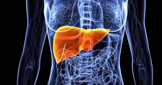 Liver diseases-causes, symptoms, treatments
