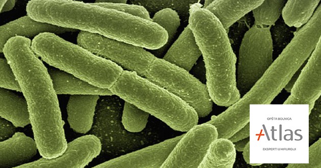 E.coli-symptoms and causes