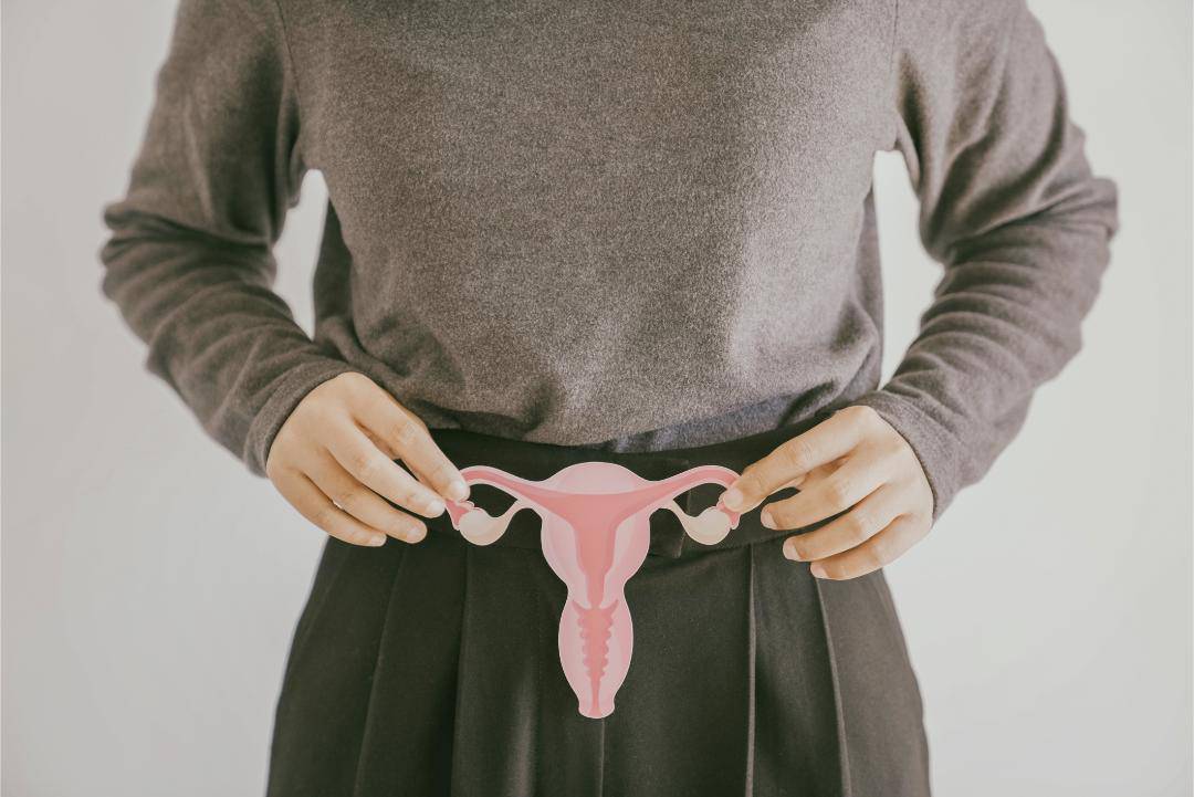 hands-holding-uterus-female-reproductive-system-woman-health-pcos-gynecologic-and-cervix
